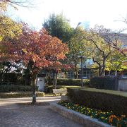 かつての高崎城の中にあります。