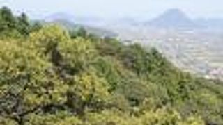 汗だくで登りきったご褒美