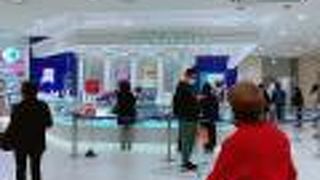 チョコがけの季節