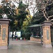 学習院大学の正門はとても素敵で、校舎も広くて、食堂や歴史かんもありました、秋に行った時はイチョウも綺麗でした。