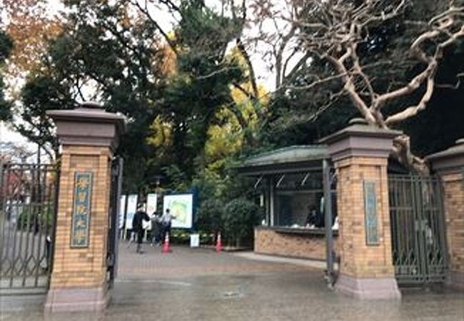 学習院大学の正門はとても素敵で、校舎も広くて、食堂や歴史かんもありました、秋に行った時はイチョウも綺麗でした。