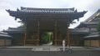 風格のあるデザインの本堂が印象的