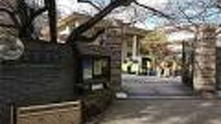 清澄庭園入り口前にある浄土宗寺院