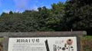 特に見どころではないかな