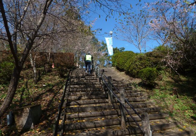 展望台から神流湖が一望でき、冬桜が咲いていた。