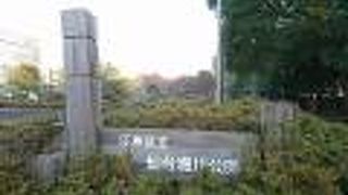 歩いていて気持ちの良い素敵な親水公園