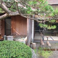 三間続きの客室と部屋付きの露天めのう風呂、蹲のある専用和庭