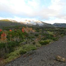 十勝連峰の紅葉