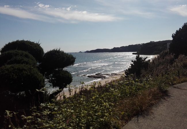 白浜 伊豆 のビーチ クチコミ人気ランキング フォートラベル 静岡県