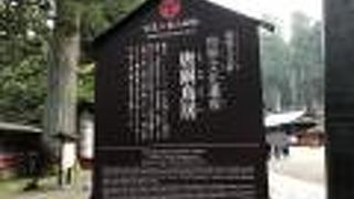 装飾が凝っています