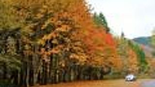 紅葉期の駐車場