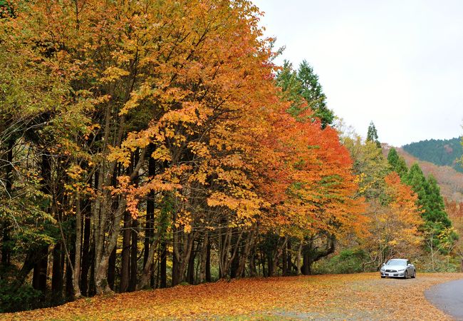 紅葉期の駐車場