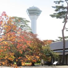 五稜郭タワーが見えます