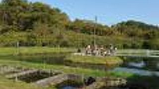 蒜山塩釜養魚センター