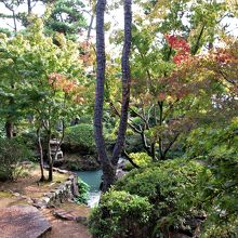 和室からの眺め