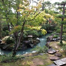 和室からの眺め