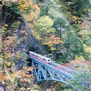 速報！ 黒薙駅から温泉までの紅葉　2020/11/6