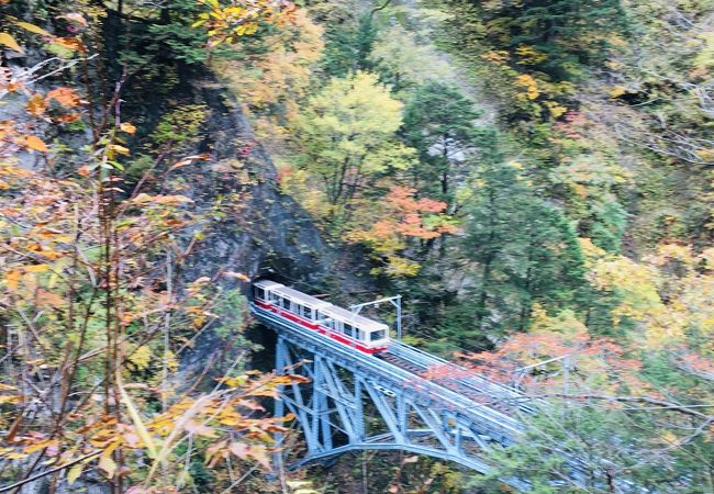 速報！ 黒薙駅から温泉までの紅葉　2020/11/6