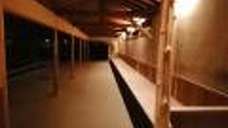 広くて、のんびりできる公園です