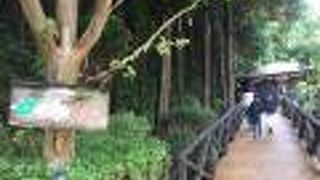 ヴィッラ デルピーノ