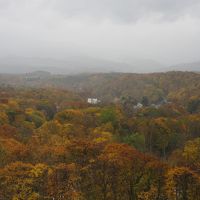 部屋からの眺め、ちょうど紅葉