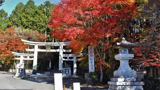 紅葉が鮮やか　秋の三峯神社