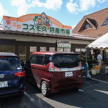 あまり広くないが、特産品は充実