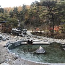 足湯もあります。入場料もですが足湯ももちろん無料です