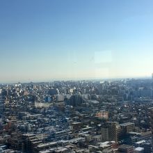 ディズニーランドらしき場所が見える