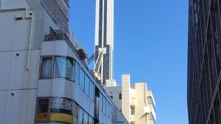 ディズニーランドが見える