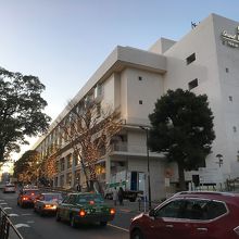 街路樹を飾り付けたイルミ