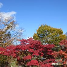 テラスでこんな景色を見ながら