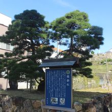 後ろに浜松城があります