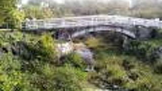 塚口駅からすぐの公園。