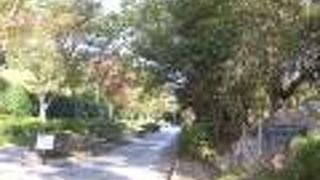 浜松城のあったところの公園