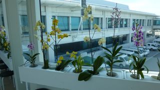 旅行気分が盛り上がります