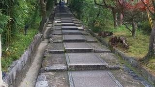 美しいお寺