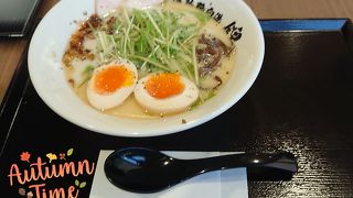 濃熟鶏白湯 らーめん 錦