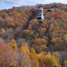 紅葉時期のロープウェイは絶景