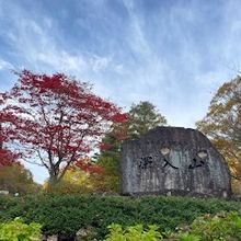 巨石そばのもみじ