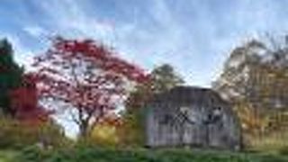 きれいにもみじが色ついていました。