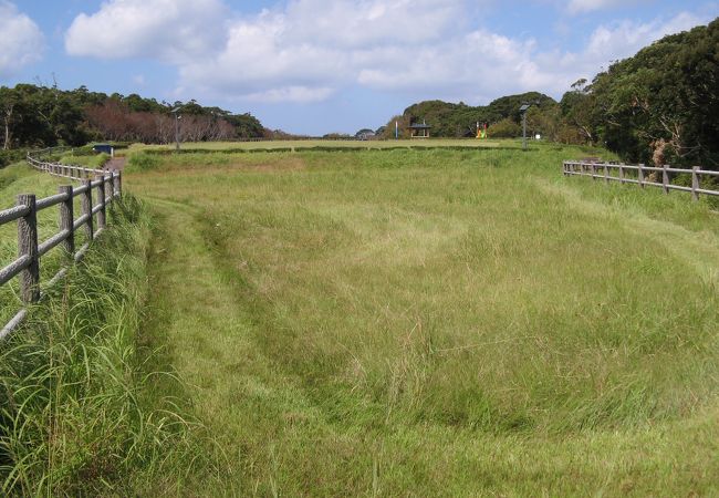 とても広い芝生の公園