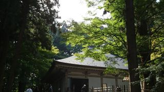 平泉に行った人は必ず行く金色堂