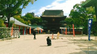 (筥崎宮)　湧出石や筥松等のパワースポットもありま