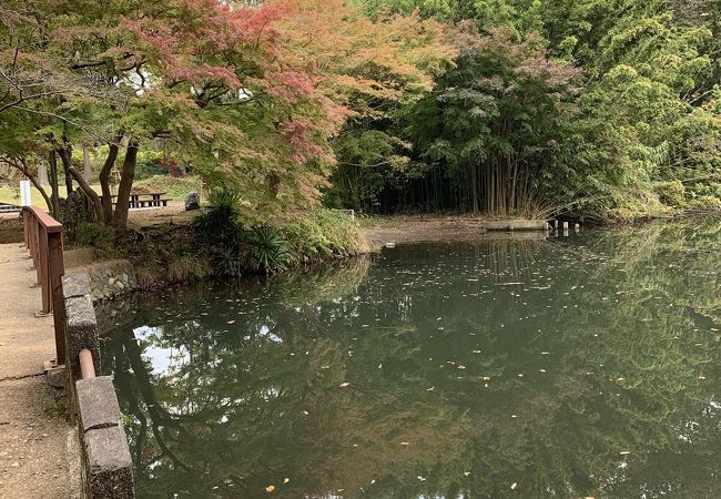 地震で出来た湖