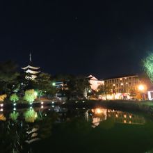 夜の五重塔と猿沢池