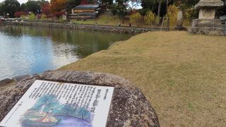 興福寺の五重塔を背景に奈良らしい風情ある猿沢池