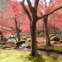 しょうざん庭園紅葉