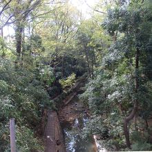 ゴルフ橋から等々力渓谷を見下ろす