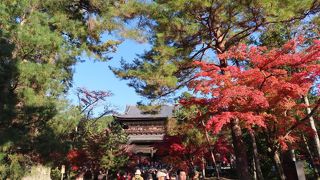 湯豆腐もいいけれど紅葉もきれい